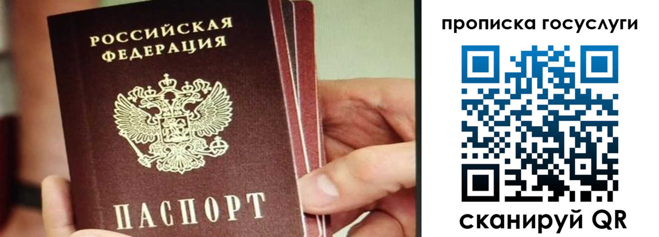 пропишу в квартире в Дедовске
